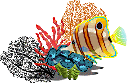 446x293 Image Of School Of Fish Clipart