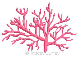 340x270 Ideal Coral Clip Art Popular