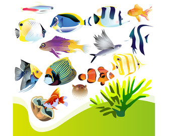 340x270 Aquarium Clip Art Etsy