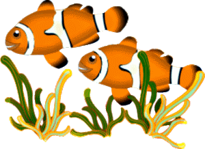 300x218 School Of Fish Clip Art