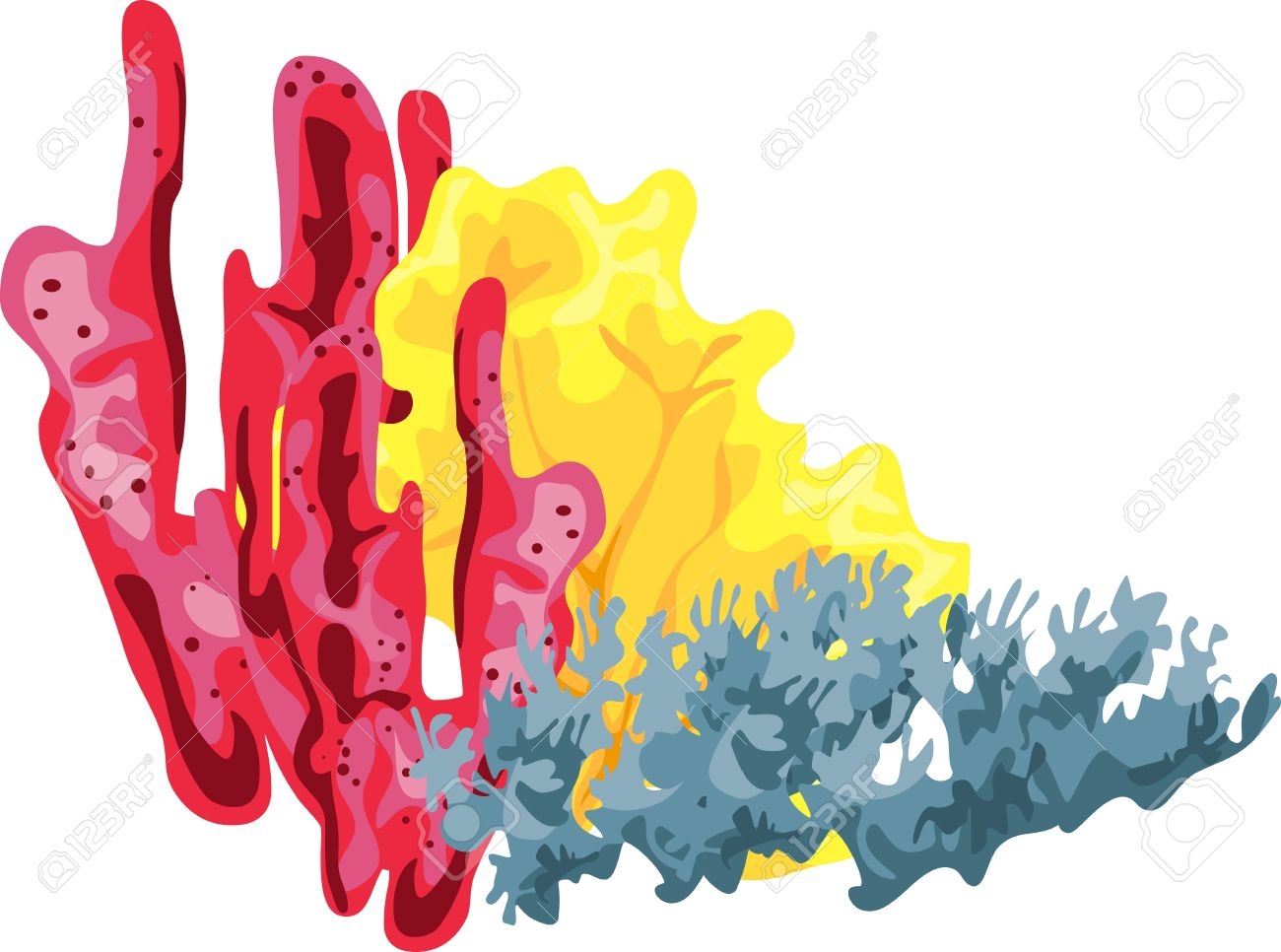 1300x966 Best Of Coral Clipart Design