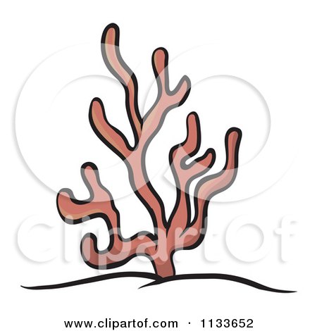 450x470 Cartoon Of Ocean Coral