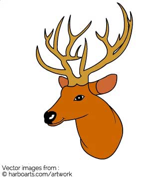 335x355 Download Deer Head