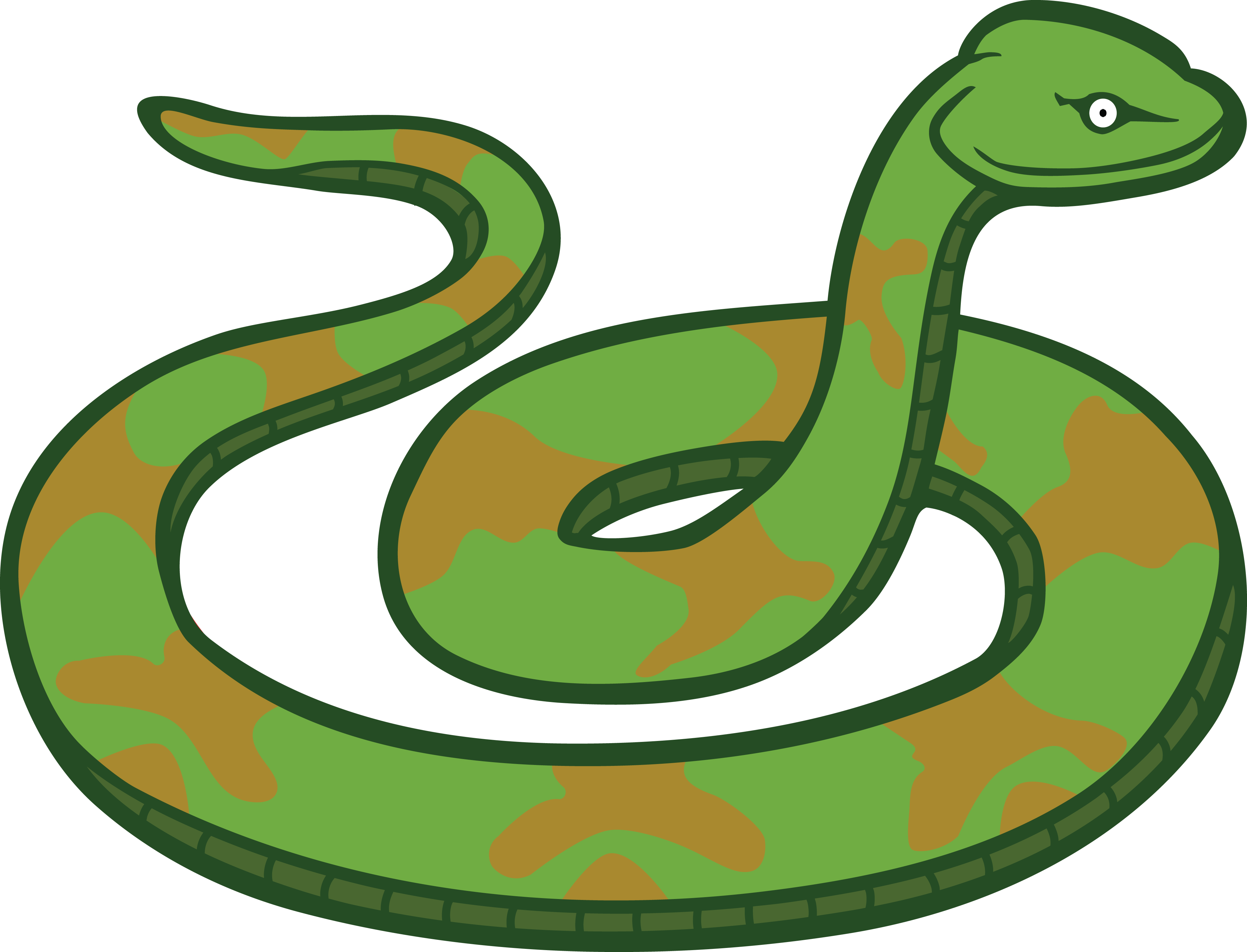 4000x3054 Free Clipart Of A Snake