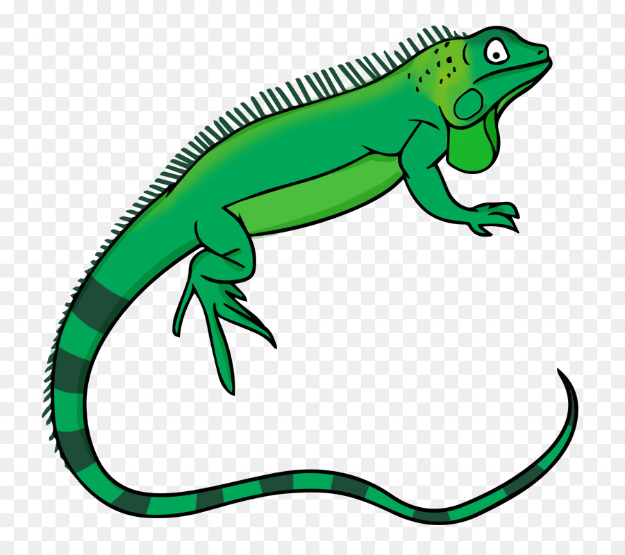900x800 Green Iguana Lizard Free Content Clip Art