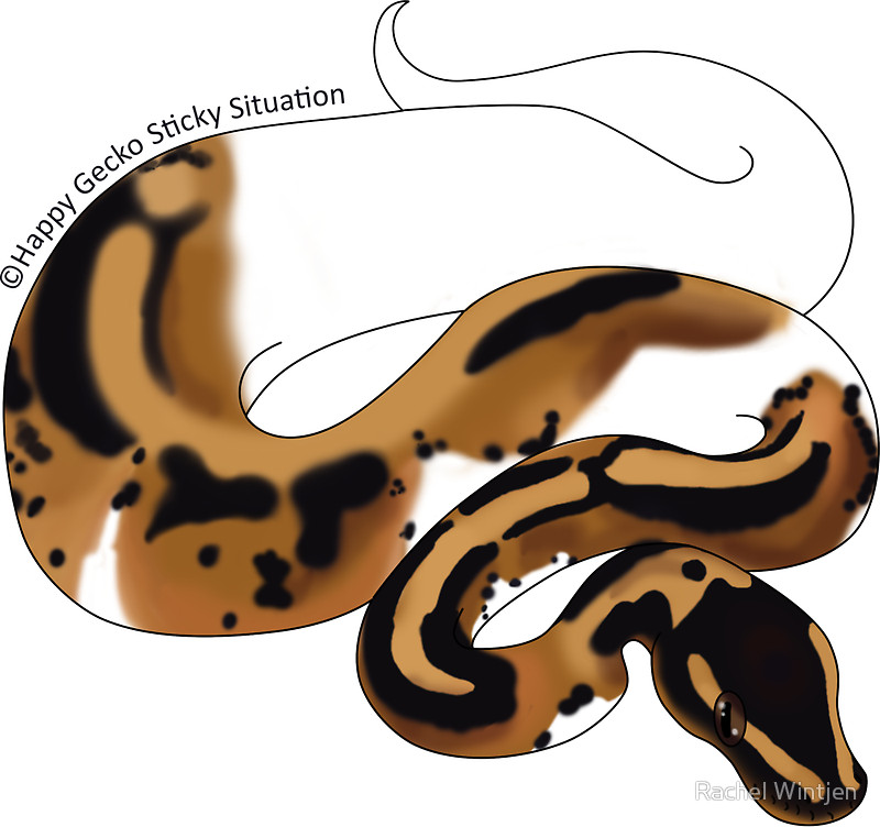 800x752 Python Clipart Reptile