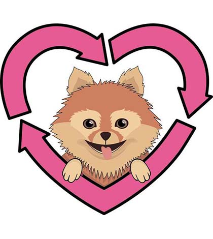 420x470 Pomeranian Clipart Dog Rescue