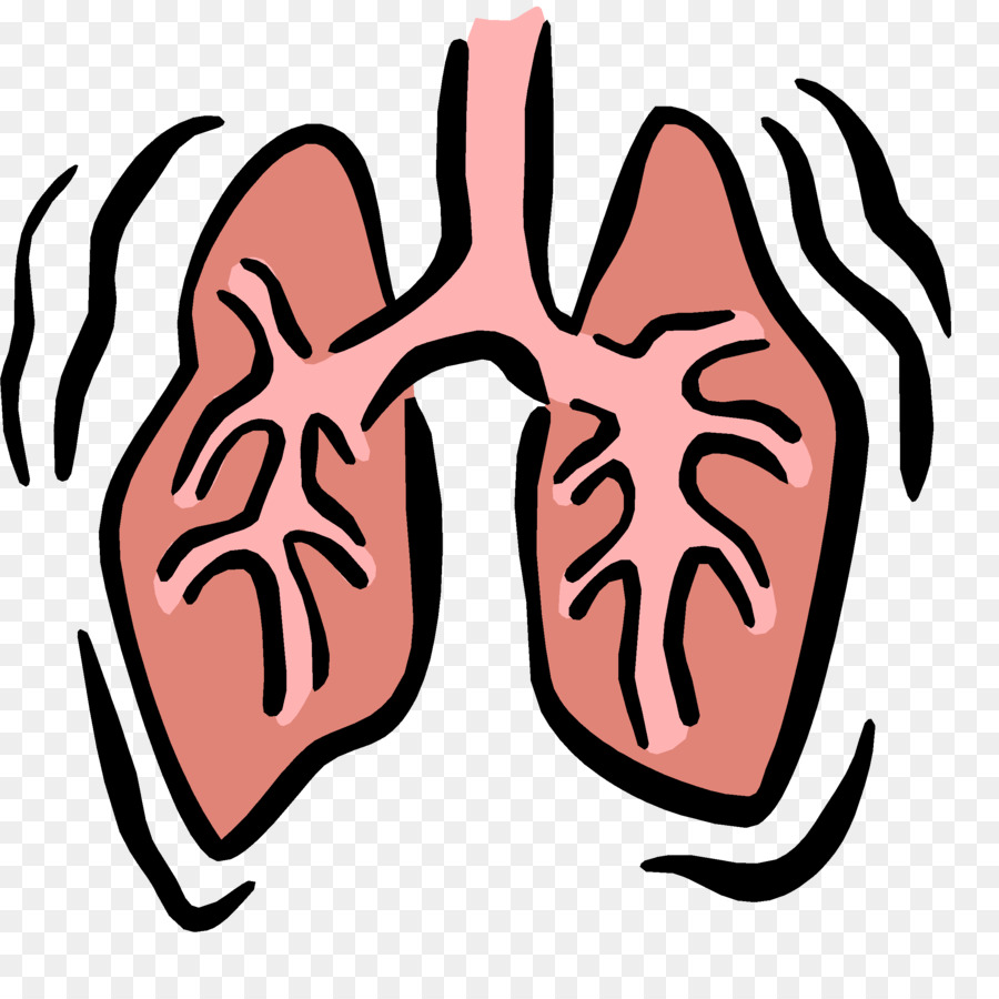 900x900 Respiratory System Respiratory Therapist Respiration Respiratory