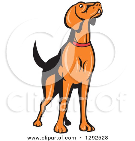 450x470 Royalty Free (Rf) Retriever Clipart, Illustrations, Vector Graphics