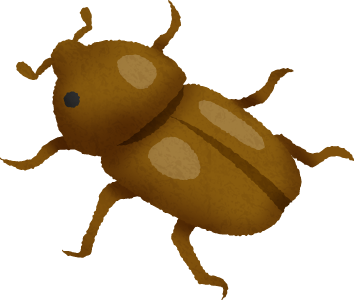 354x300 Female Rhinoceros Beetle Free Clipart Illustrations