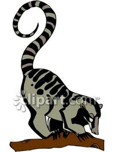 225x300 Ring Tailed Lemur On A Branch