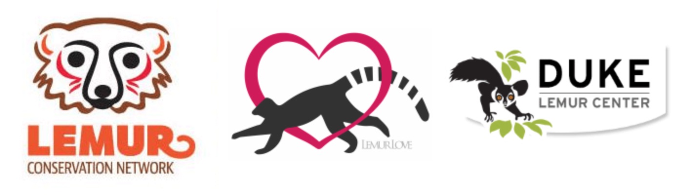 1418x400 A Brand Of Backpacks Supporting Lemurs Conservation In Madagascar