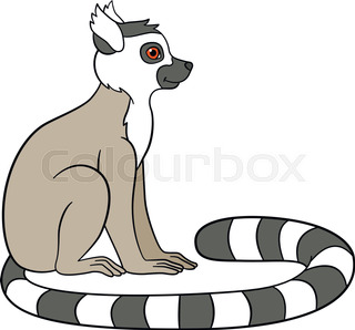 320x298 Vector Of Ring Tailed Lemur Head Design On White Background. Wild