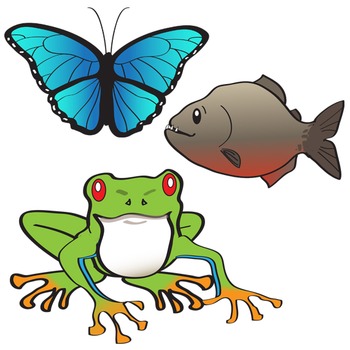 350x350 South American Animals Clip Art