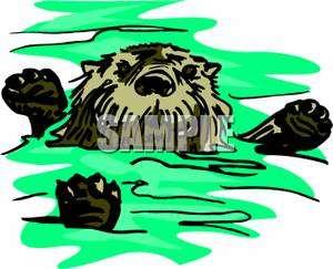 300x243 A River Otter Floating Down The River