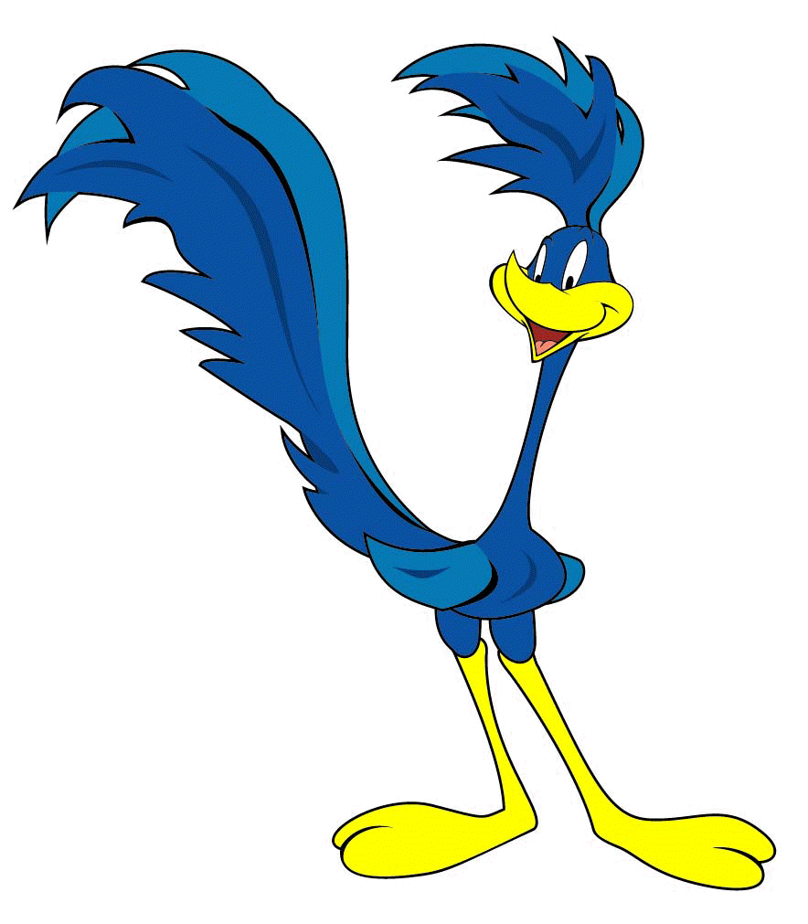 884x1011 Road Runner Wallpapers