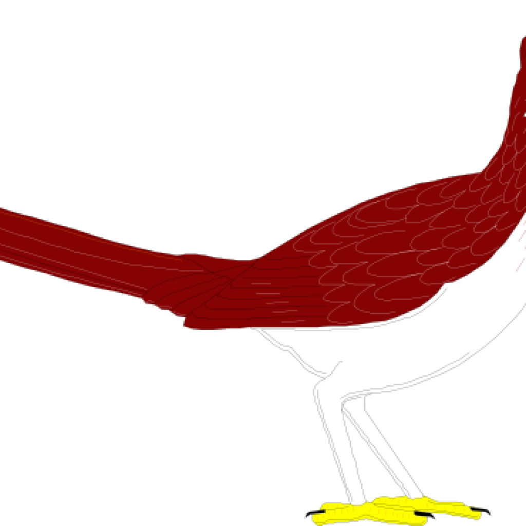 1024x1024 Roadrunner Clipart Easter Clipart