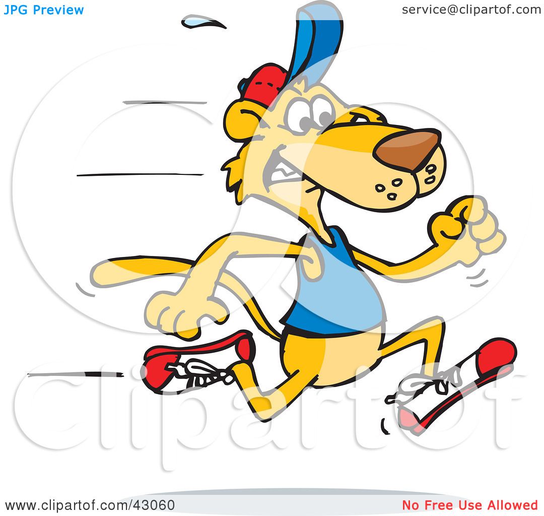 1080x1024 Roadrunner Clipart Fast Runner