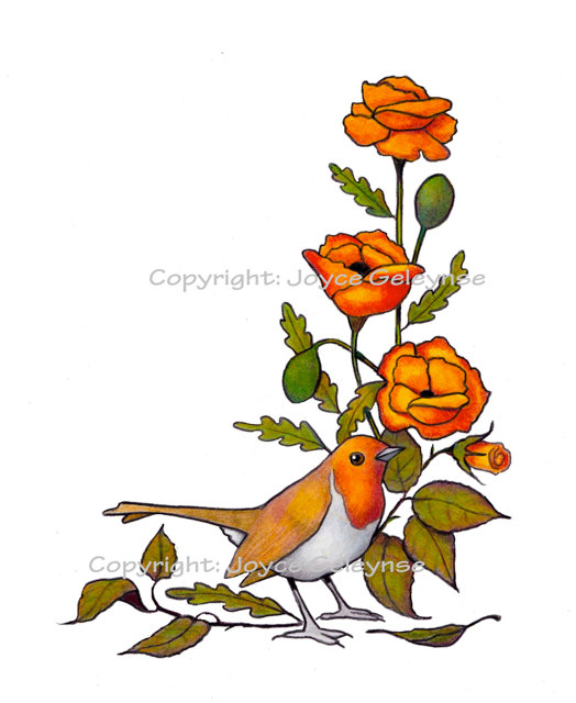524x640 Clip Art English Robin, Bird, Clipart Panda