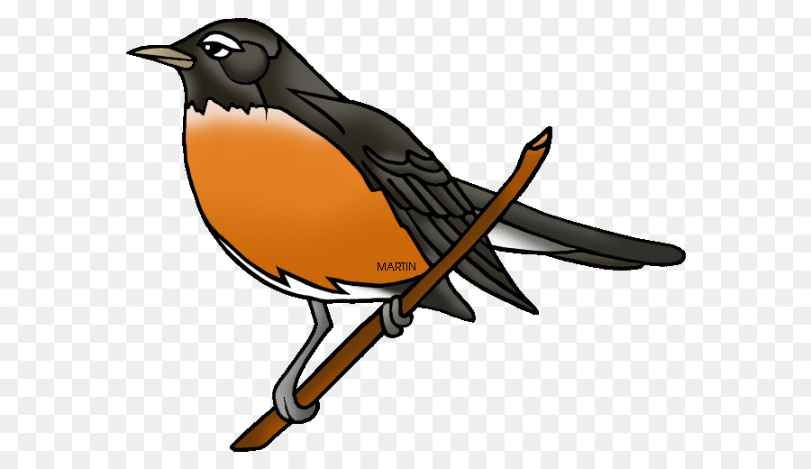 900x520 European Robin American Robin Youtube Clip Art