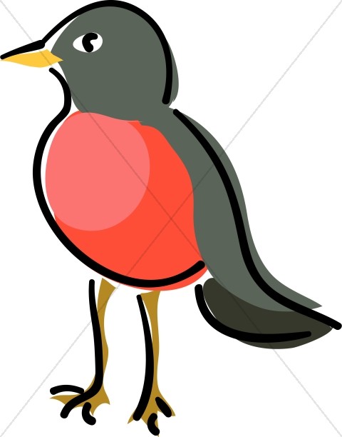 480x612 Red Robin Standing Wildlife Clipart