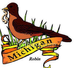300x279 The State Bird Of Michigan, The Robin
