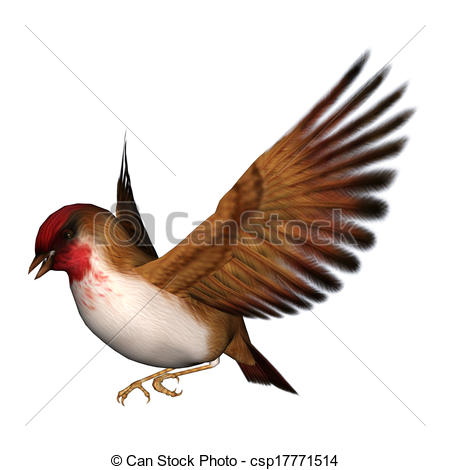 450x470 Finch Clip Art