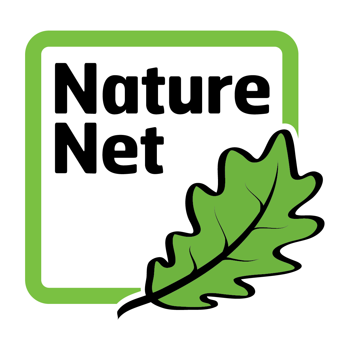 1200x1200 Rocks And Minerals Handouts Cave Of The Mounds