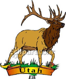 252x300 Rocky Mountain Elk Clipart