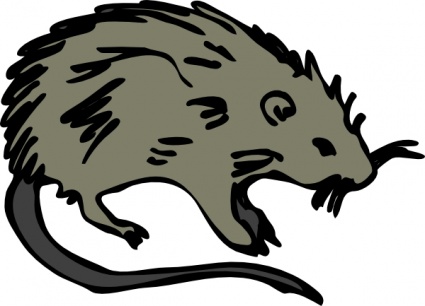 425x306 Free Download Of Mouse Rat Rodent Clip Art Vector Graphic