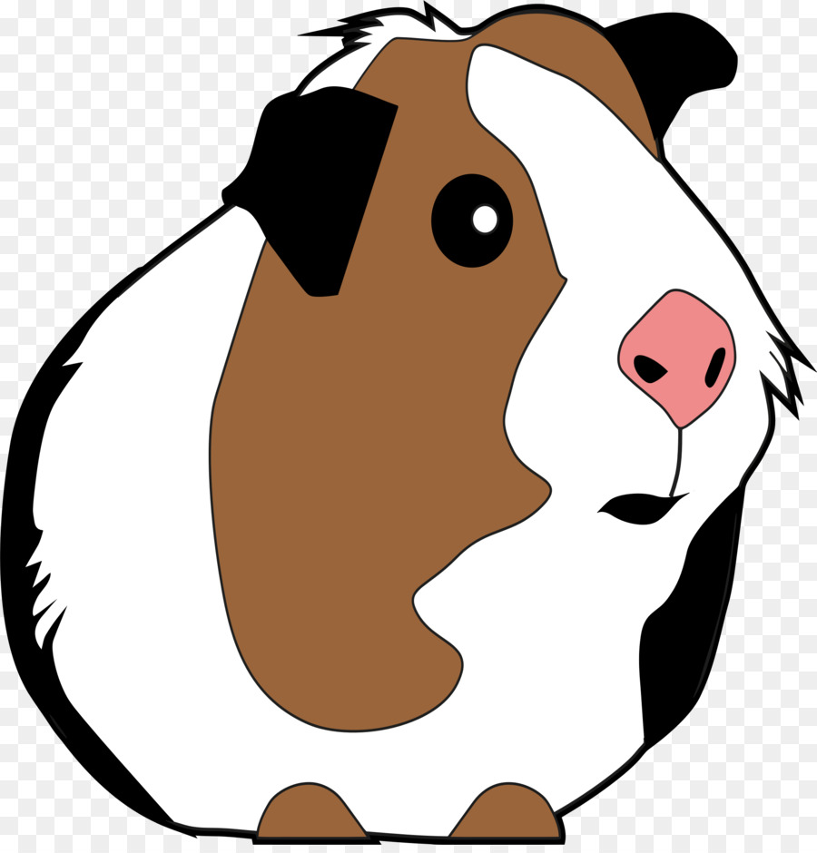 900x940 Guinea Pig Domestic Pig Rodent T Shirt Clip Art