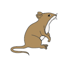 200x200 Top 86 Mouse Clipart