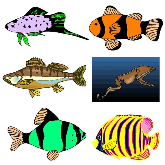 570x570 Sea Animal Clipartsea Animals Clipart Fi Glsea Creatures