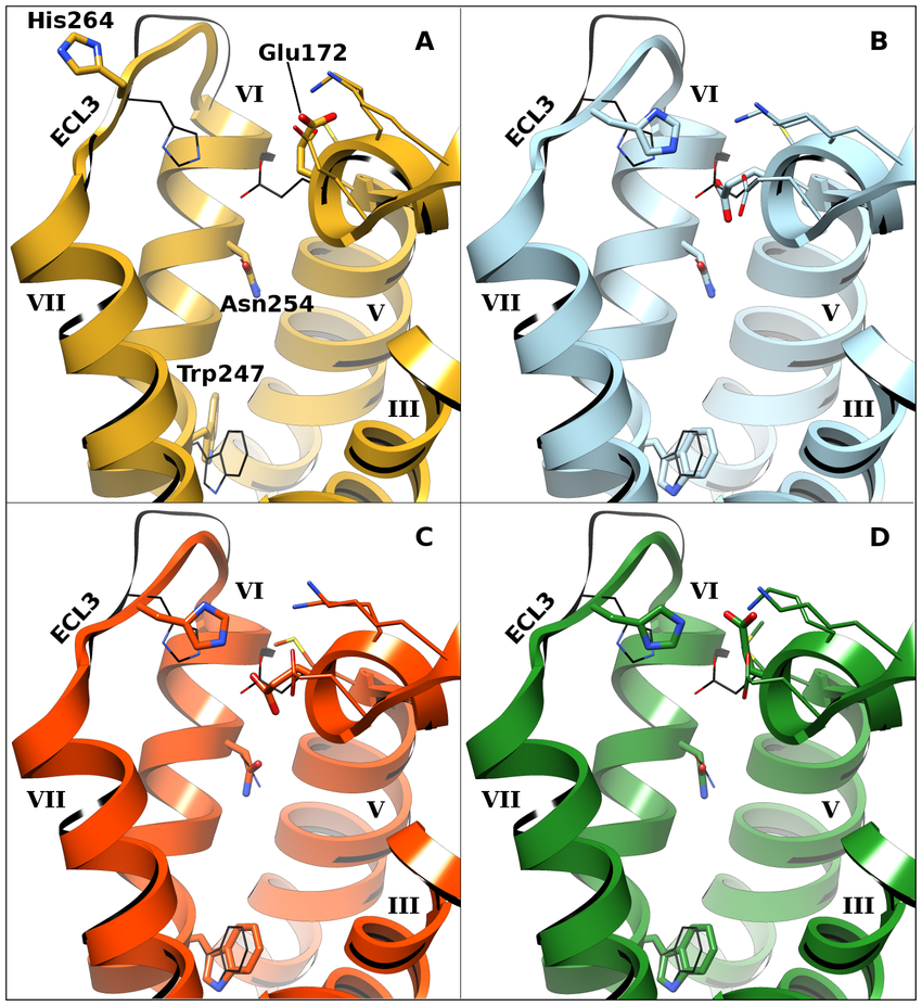 850x927 The Four A1ar Models Used In This Study. Helices Are Labeled