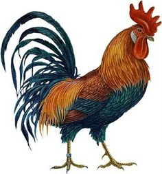 236x253 Rooster Clip Art Cartoon Free Clipart Images 2 Sew You Can