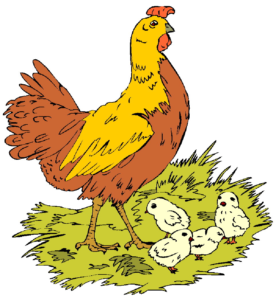 962x1039 Free Chicken Clipart Clipart Panda