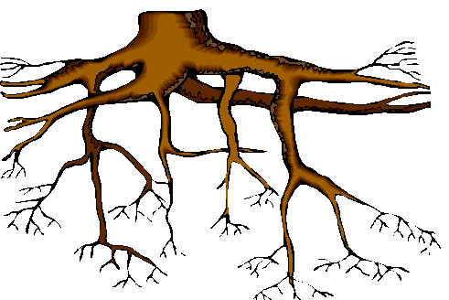 491x328 Clip Art Of A Plant And Its Roots Clipart