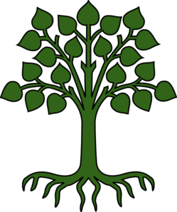 249x299 Green Tree With Roots Md.png Clipart Panda
