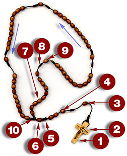 252x310 Pray The Rosary With Gary Wohlscheid And Our Lady's Devotees