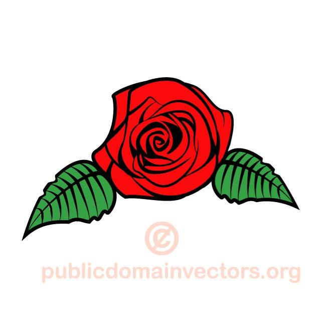 660x660 Rose Clip Art Vector Graphics