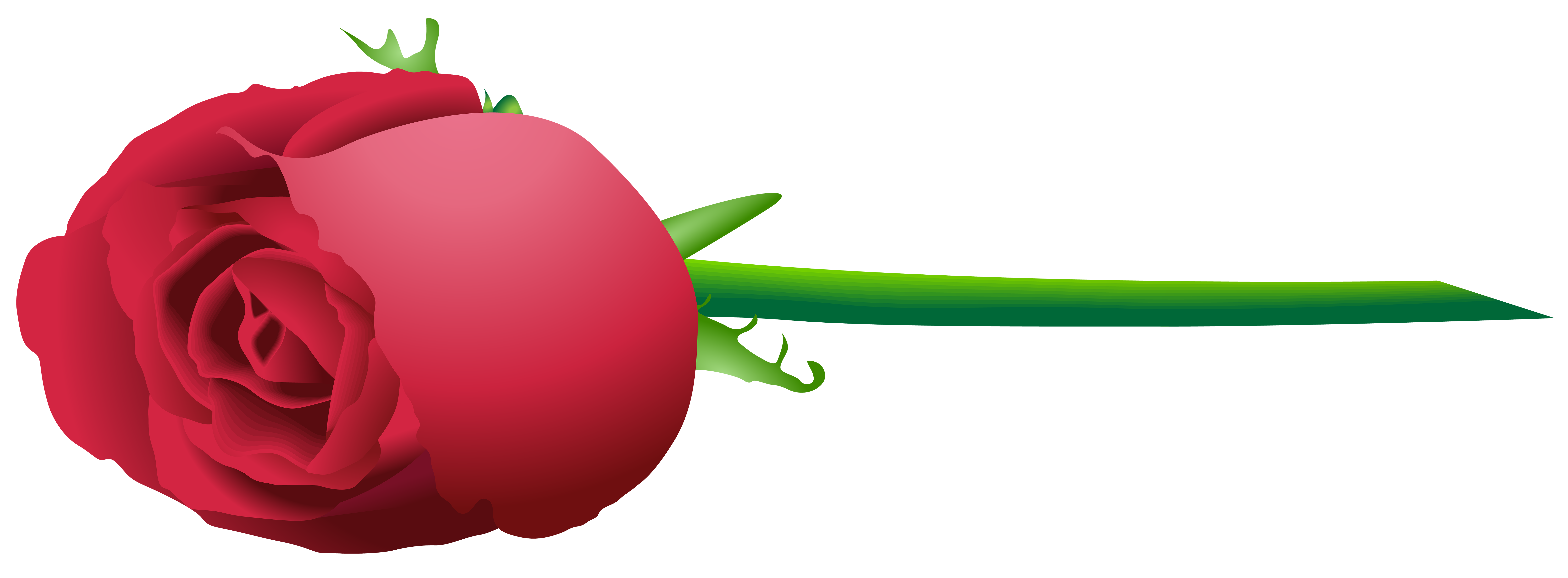 8000x2951 Rose Bud Png Clip Art Imageu200b Gallery Yopriceville