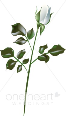 220x388 White Rose Clip Art Free Clipart Panda