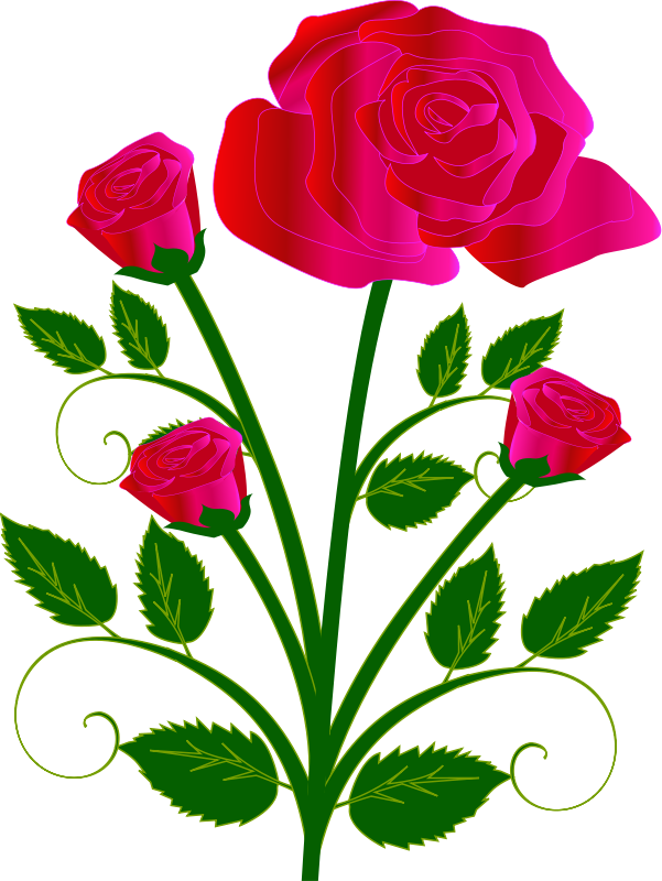 601x800 Pink Rose Clip Art