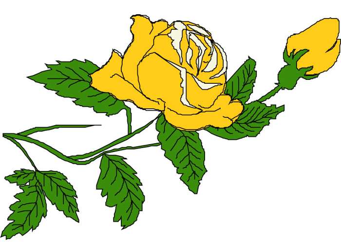 700x505 Yellow Rose Clipart Yellow Rose Bud Art Clipart