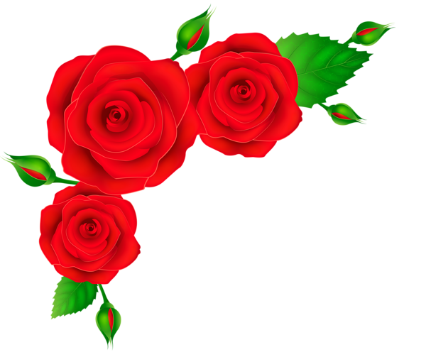 600x503 Red Roses Corner Transparent Png Clip Art Image