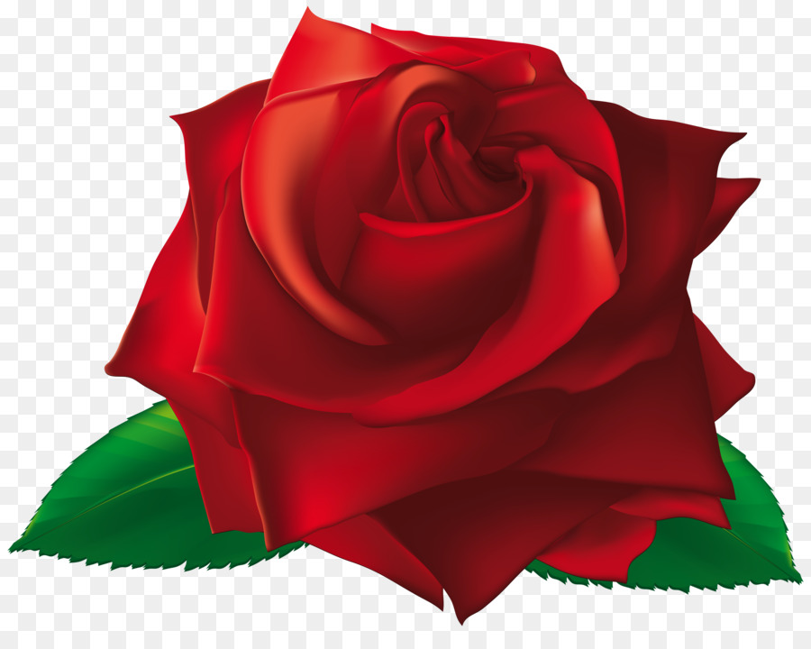 900x720 Rose Flower Clip Art