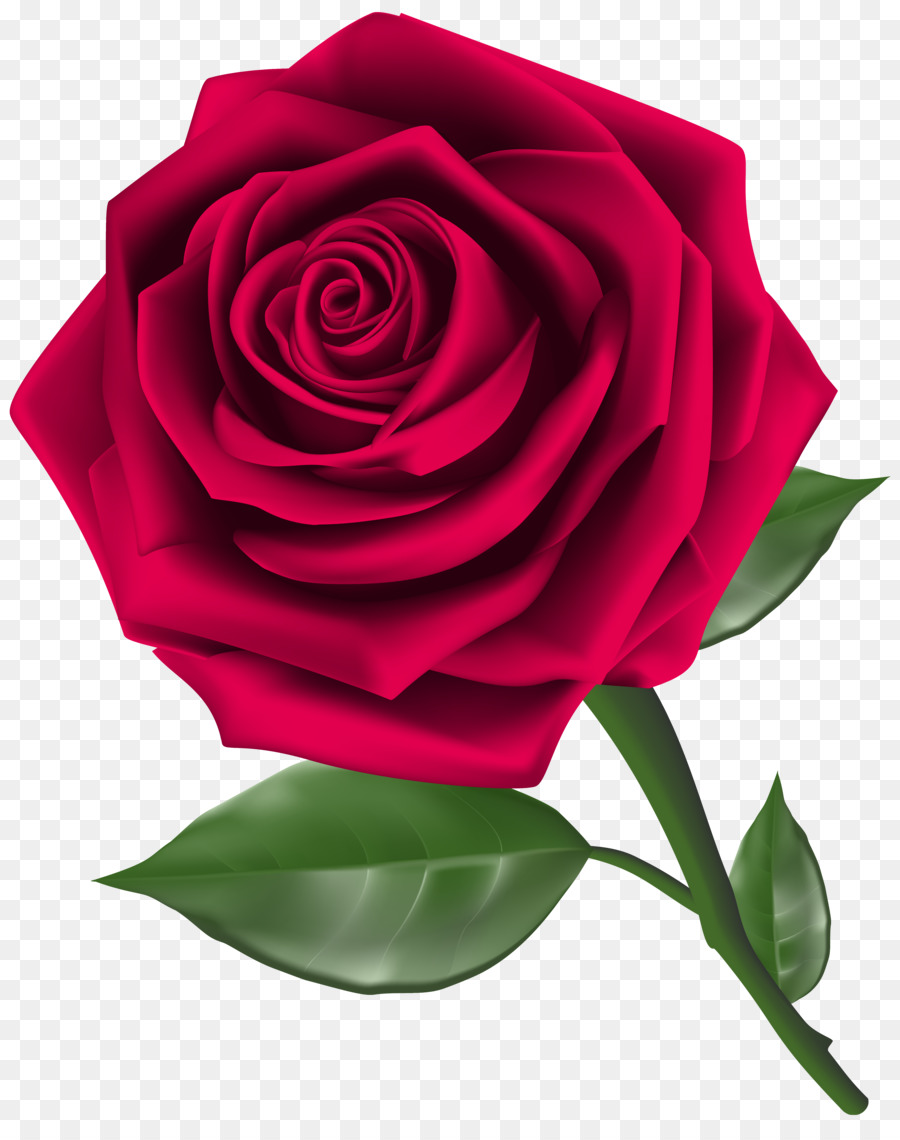 900x1140 Rose Flower Red Clip Art