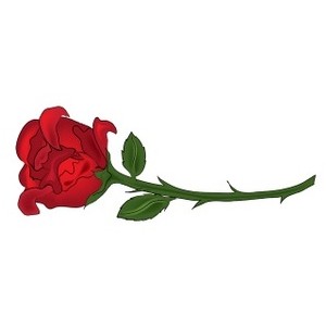 300x300 Beautiful Clipart Red Rose