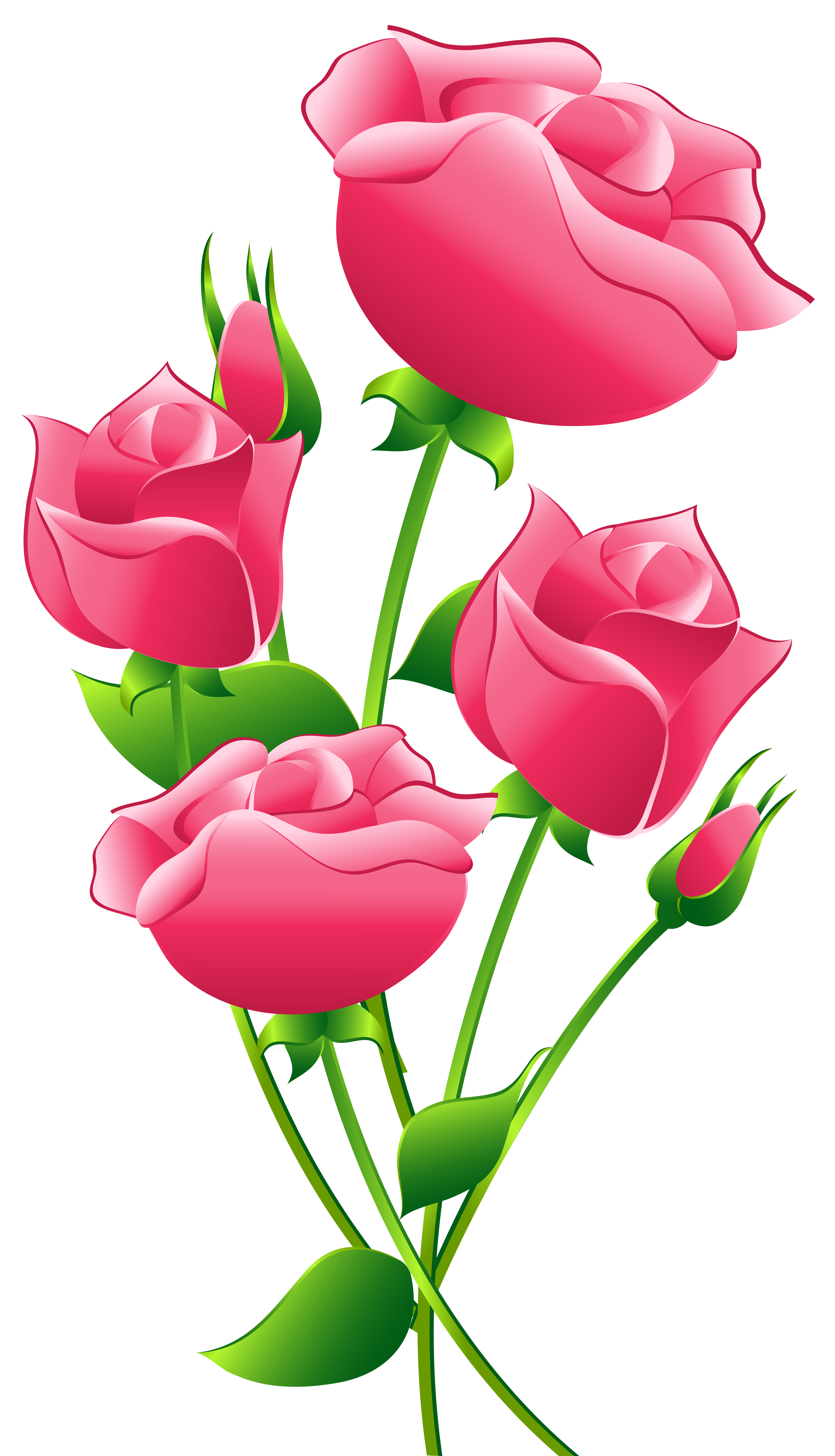5434x9473 Pink Roses Transparent Png Clip Art Imageu200b Gallery Yopriceville