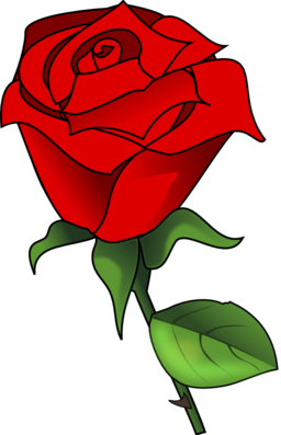 256x397 Red Rose Clipart I2clipart